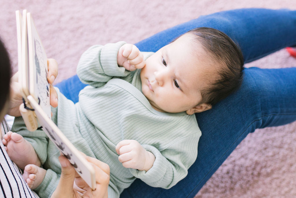 How to Talk to Your Baby to Build Their brain - One Word At a Time