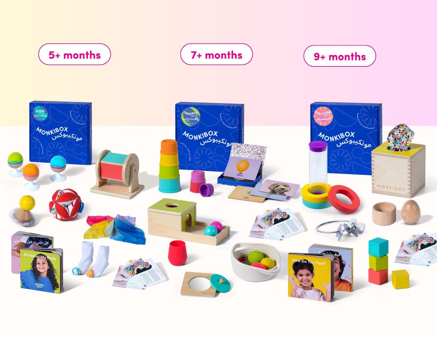Milestone Development Set 5+