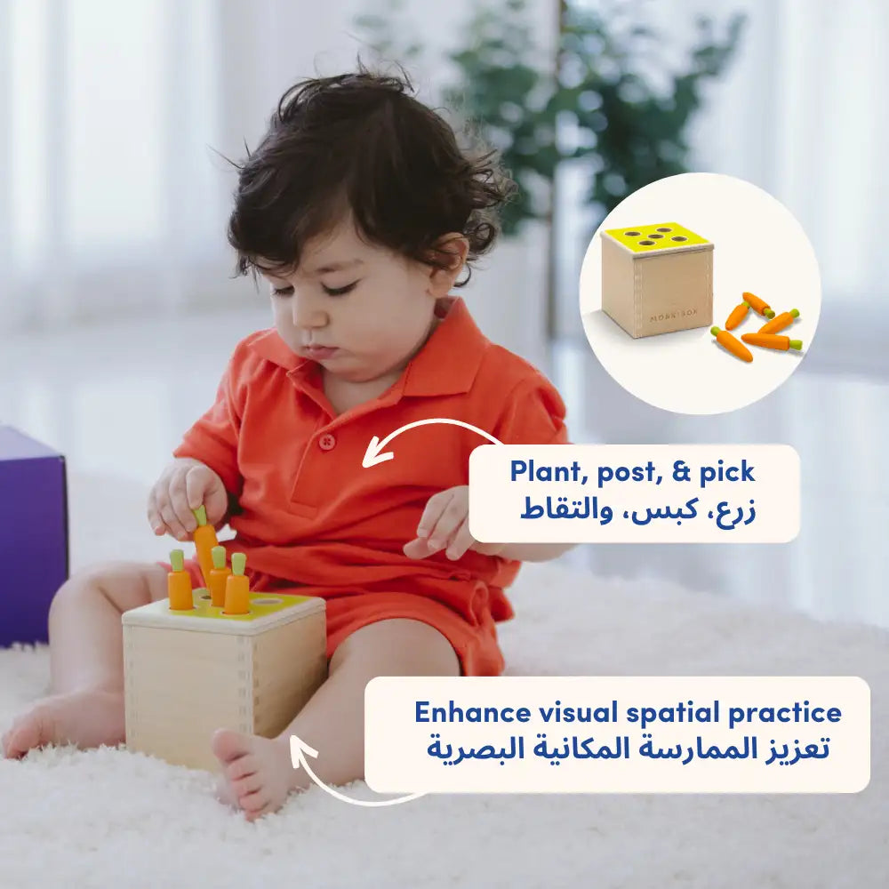 Plant_post_and_pick_toys-Montessori play toys for toddlers