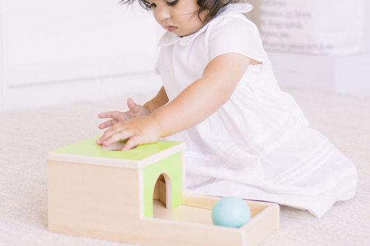 Where did it go? Understanding object permanence
