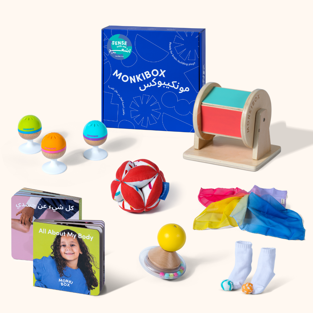 The Play Program (4-Box Prepay)  | Early Learning Toys