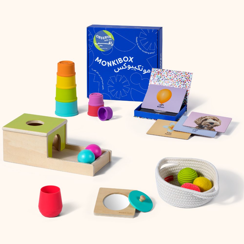 The Play Program (12-Box Prepay)  | Early Learning Toys