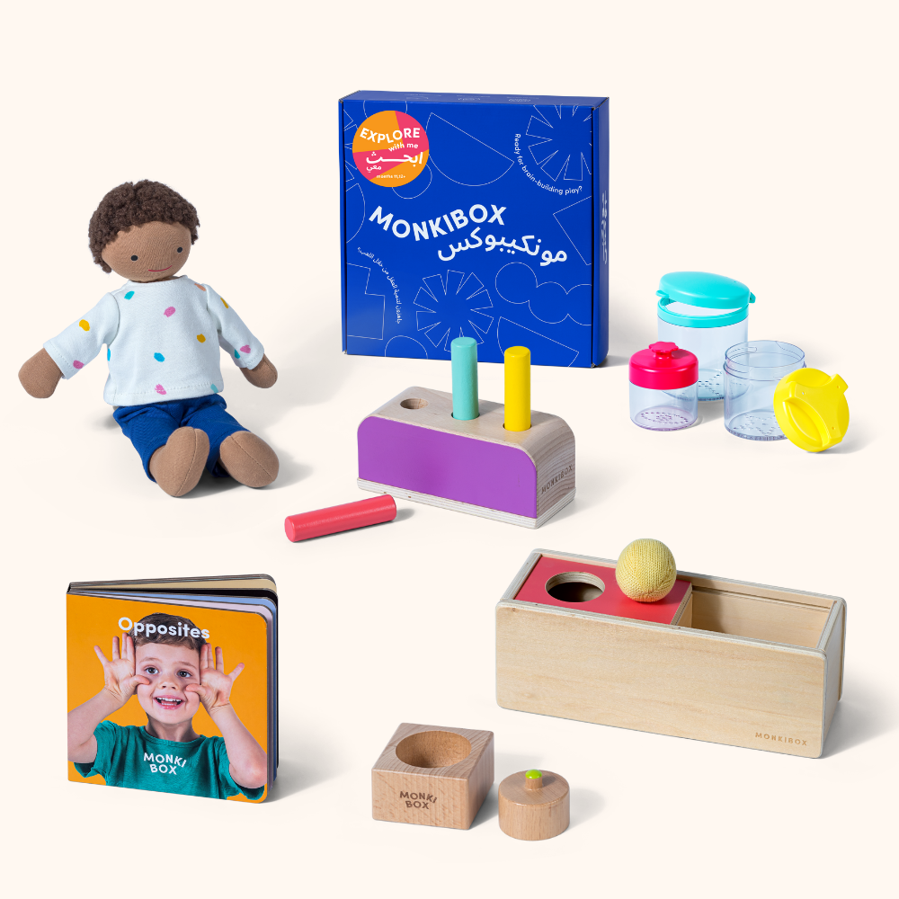 The Play Program (4-Box Prepay)  | Early Learning Toys