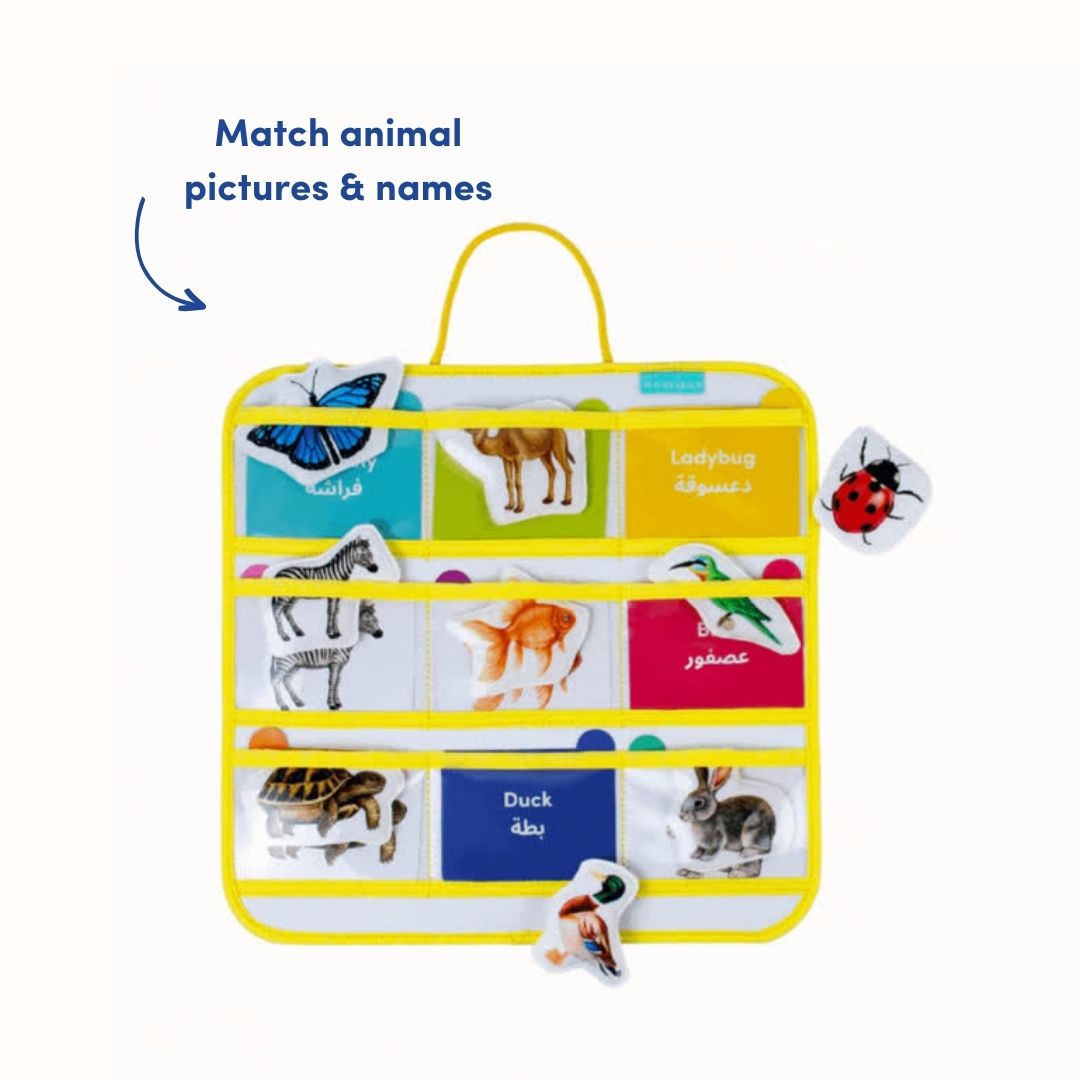 مجموعة التصنيف والمطابقة