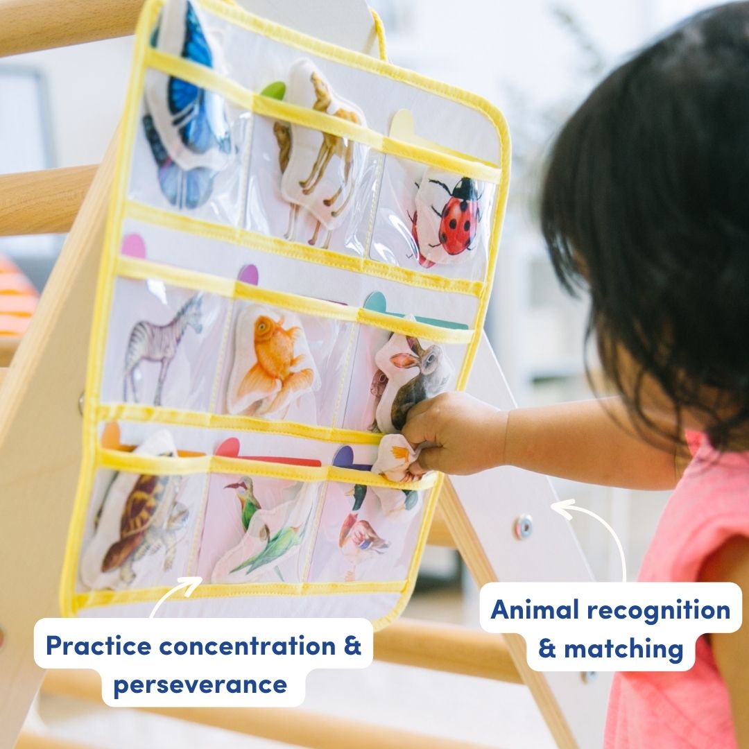 مجموعة التصنيف والمطابقة