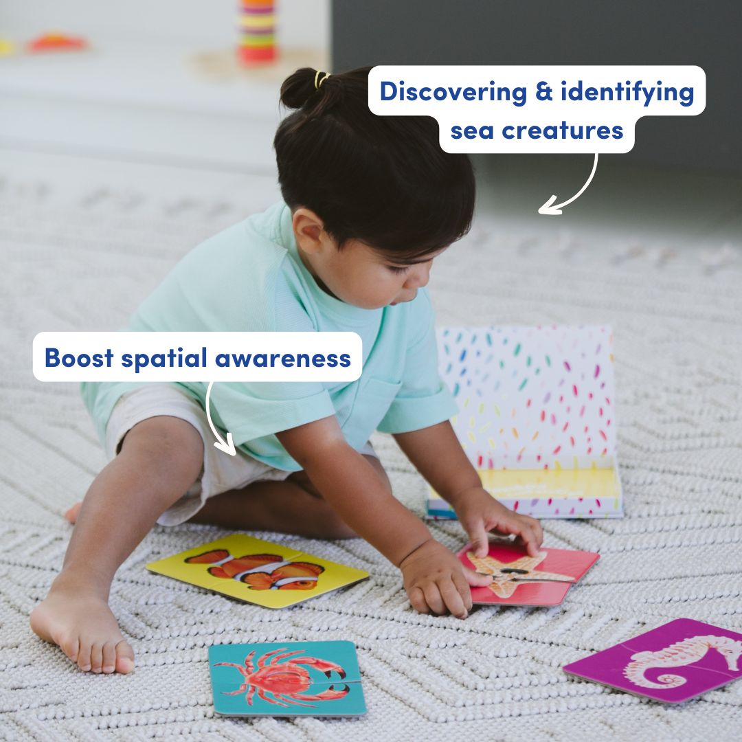 مجموعة التصنيف والمطابقة