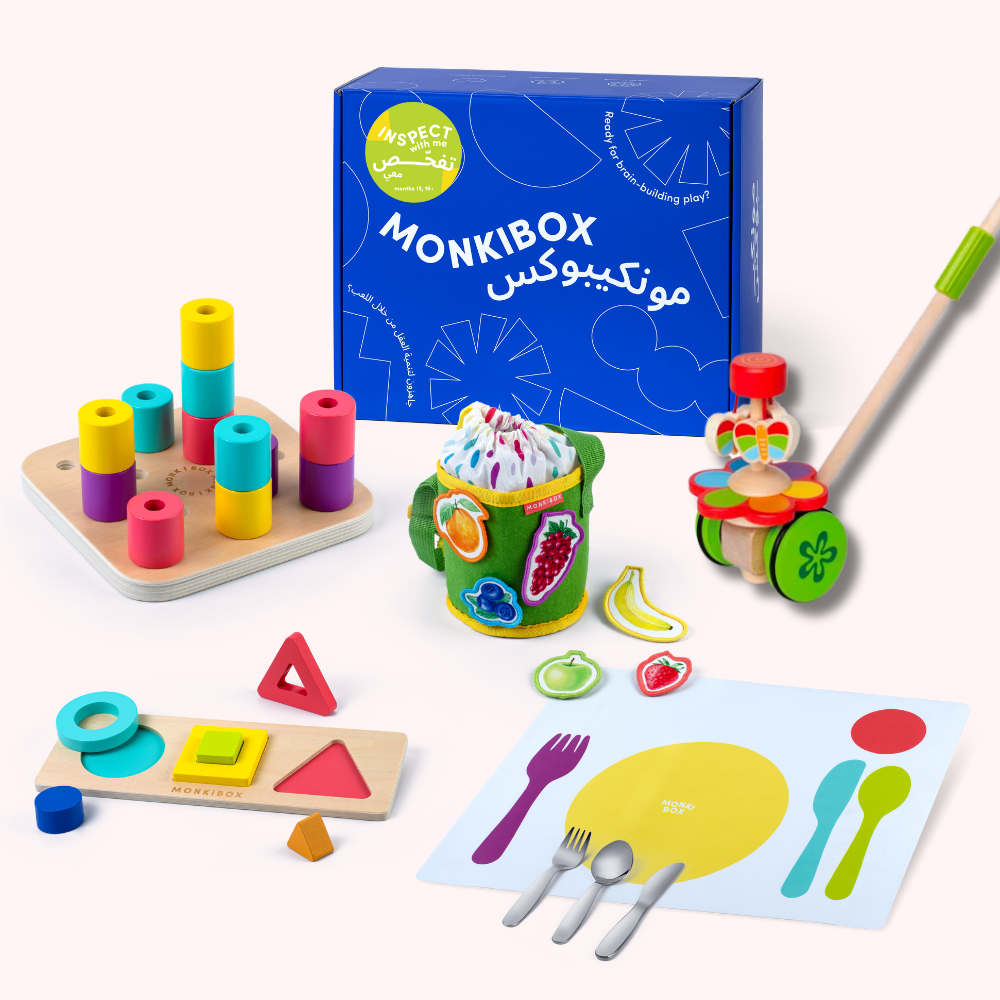 The Play Program (4-Box Prepay)  | Early Learning Toys