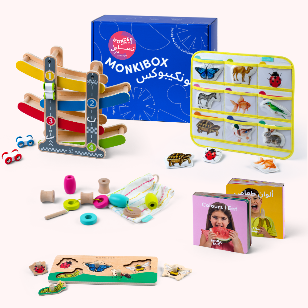 The Play Program (3-Box Prepay)  | Early Learning Toys