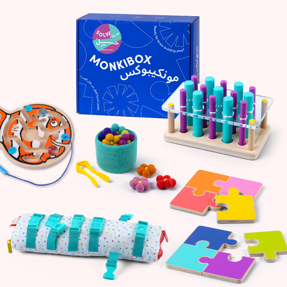 The Play Program (12-Box Prepay)  | Early Learning Toys