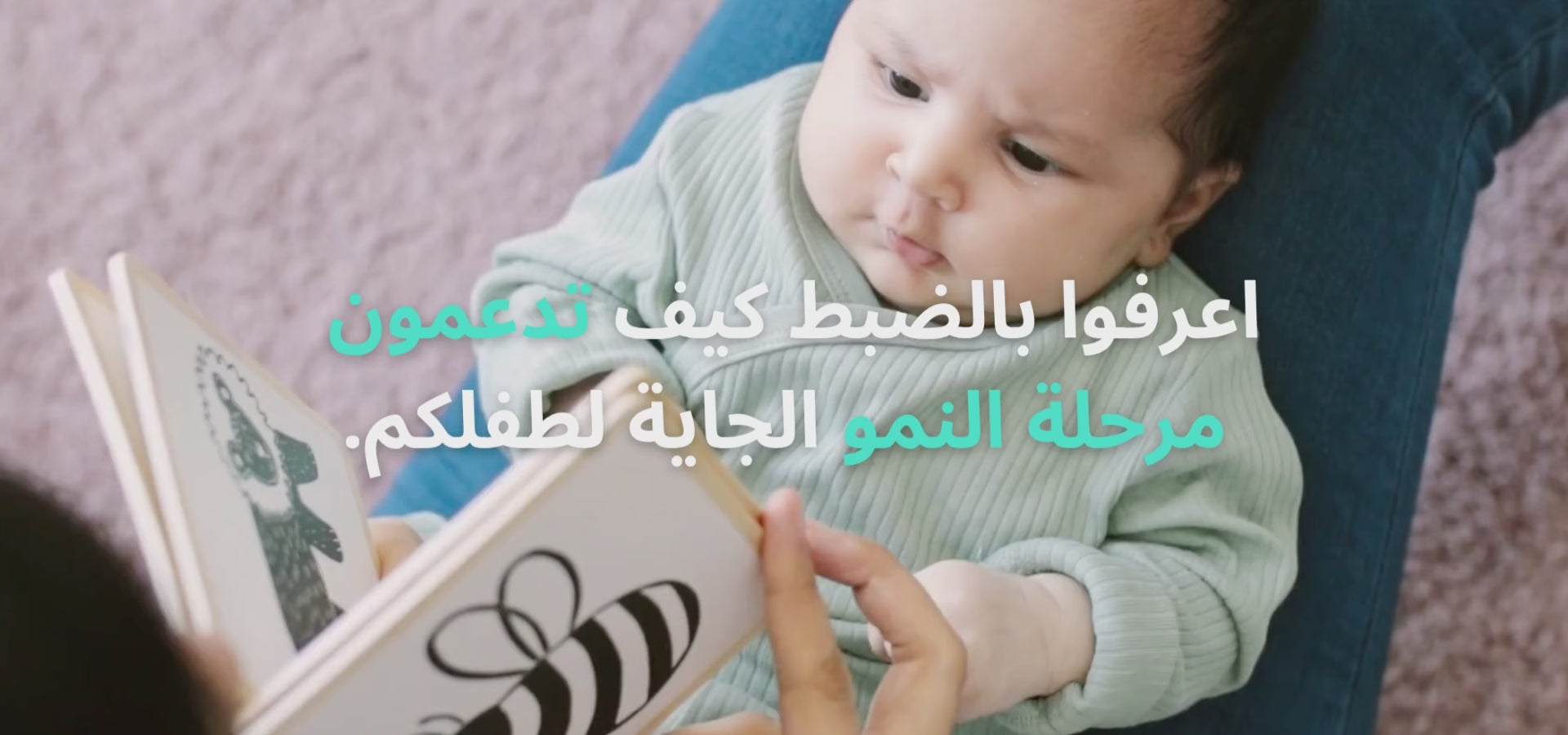 تحميل الفيديو: 