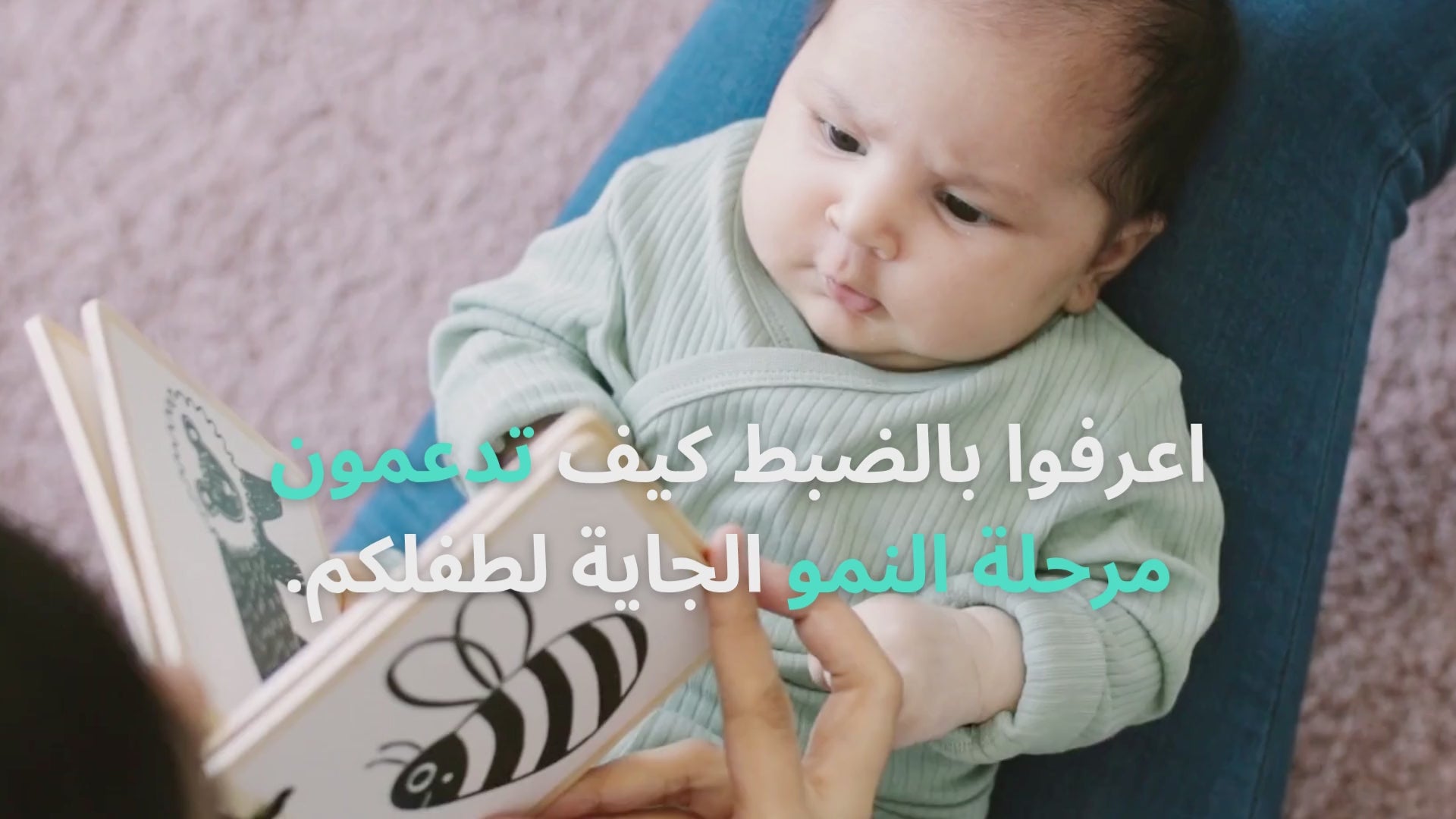 تحميل الفيديو: 